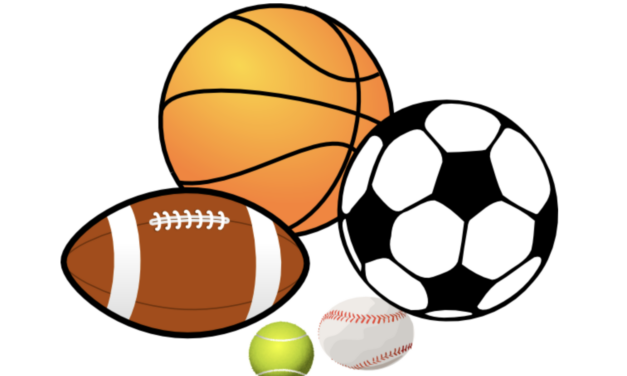 Dearborn Heights: Affiliated Youth Sports Programs