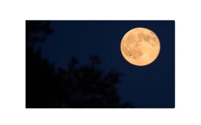 لا تنسوا مشاهدة ظاهرة القمر العملاق الذي سيضيء سماء ميشيغان الليلة الأربعاء