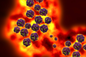 ارتفاع حالات الإصابة ببفيروس نوروفيروس في ميشيغان والولايات الشمالية الشرقية للولايات المتحدة