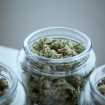  مشروع قانون في ميشيغان لحظر عشبة “كراتوم” ومشتقاتها بالكامل