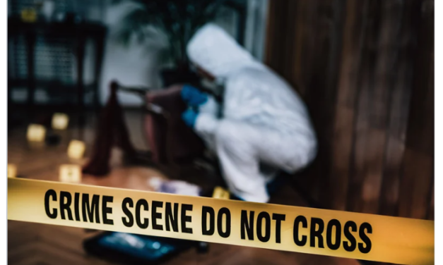  تحقيقات في ديترويت… الشرطة وFBI تواصل الحفر في موقع غامض