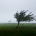 تحذيرٌ من رياح عاصفة في بعض المقاطعات غد الجمعة