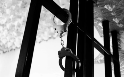 الحكم على رجل بالسجن بعد حادث قيادة تحت تأثير الكحول أودى بحياة شخص في ميشيغان