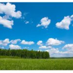 النشرة الجوية