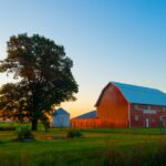 تأسيس أول قرية جديدة في أوكلاند كاونتي منذ عقود بعد تصويت سكان Cass Lake Village